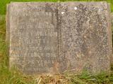 image of grave number 647849